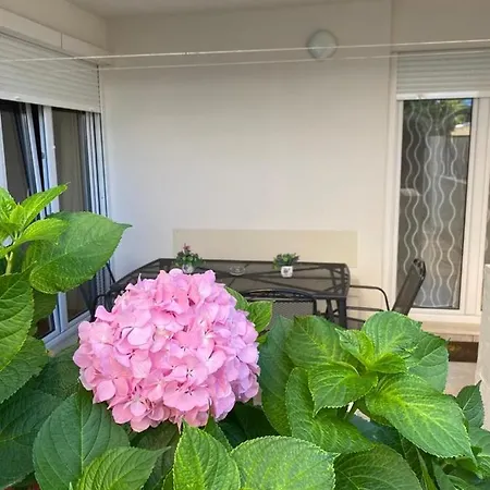 Hortensija 公寓 斯普利特